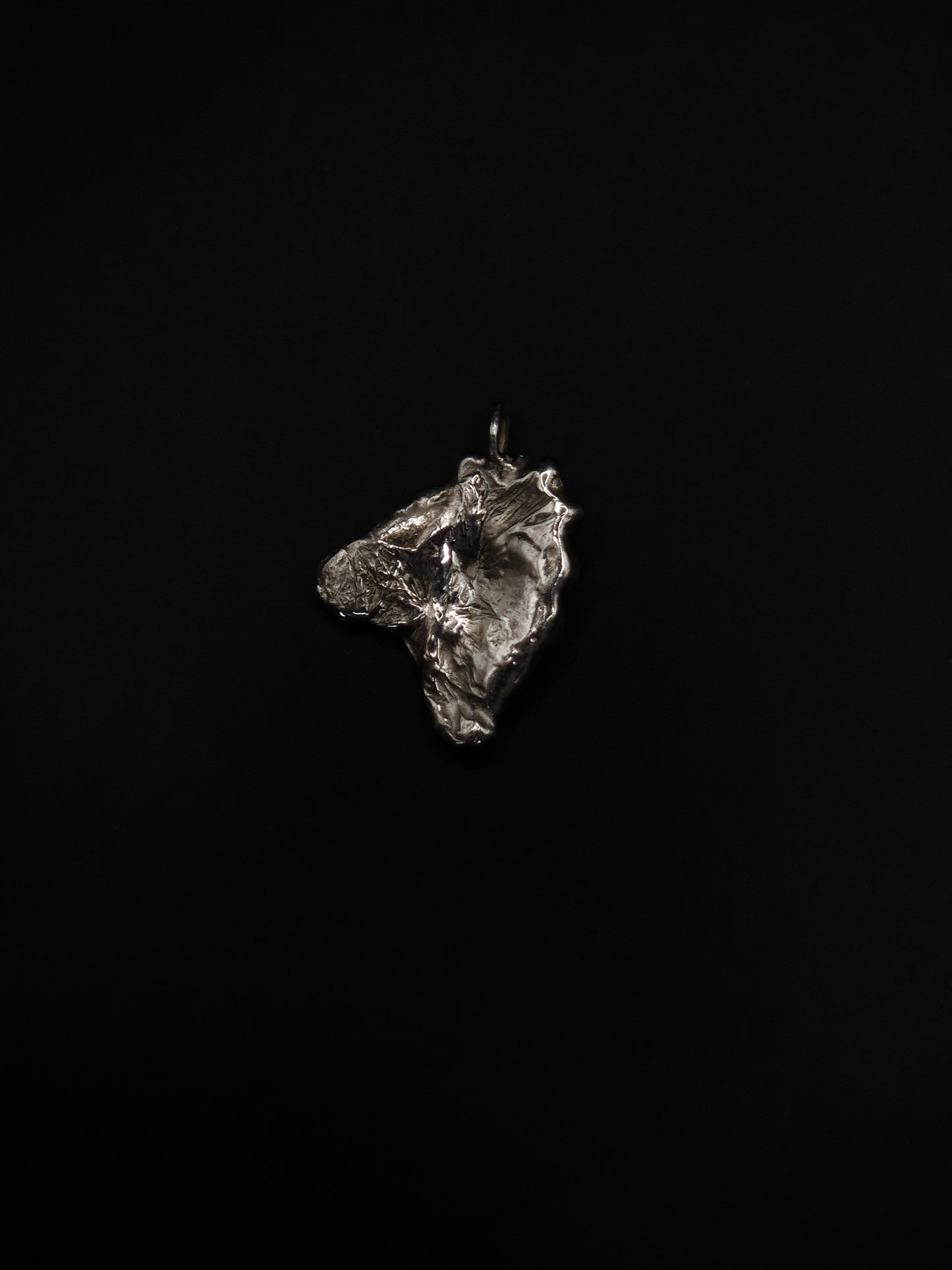 Pendentif éclat sauvage