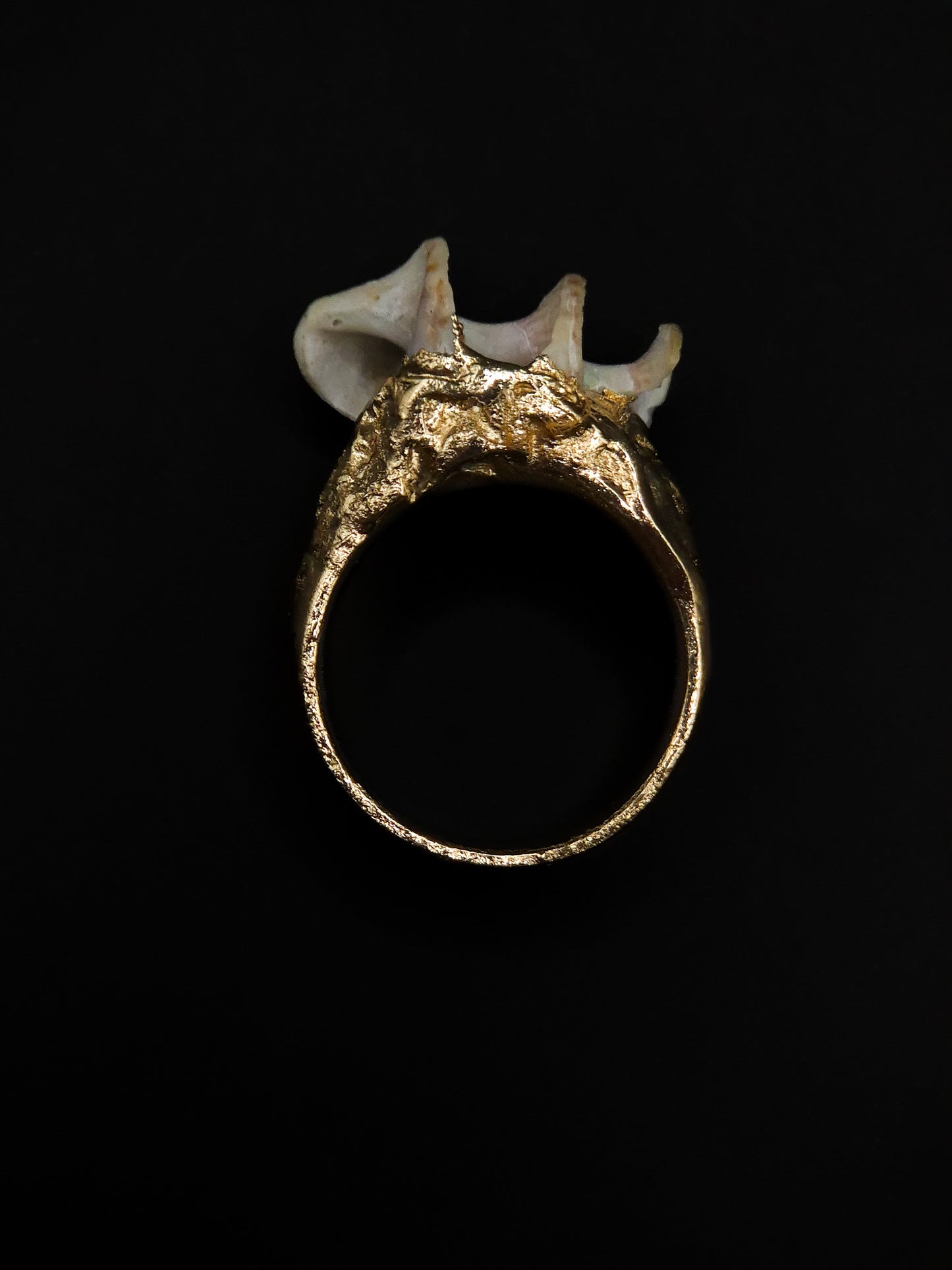 Bague corne d'écume