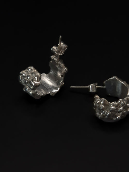 Boucles d'oreilles flux