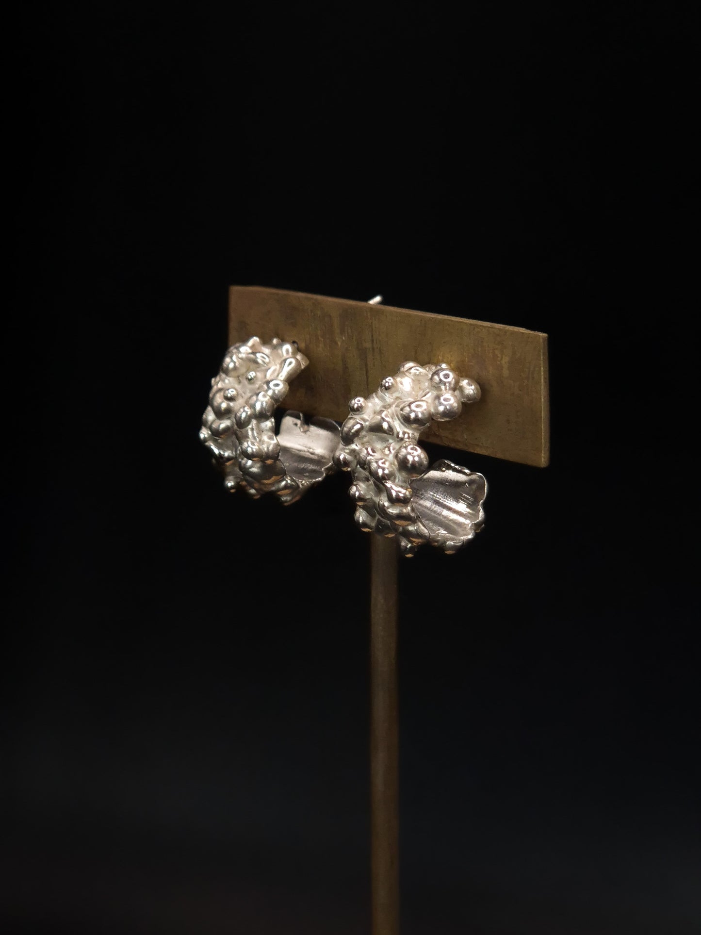 Boucles d'oreilles flux