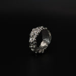 Bague sédiment miracle