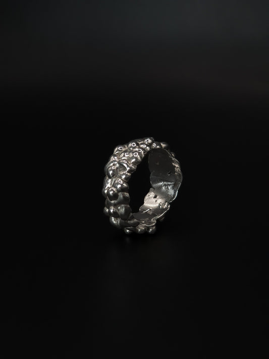 Bague sédiment miracle