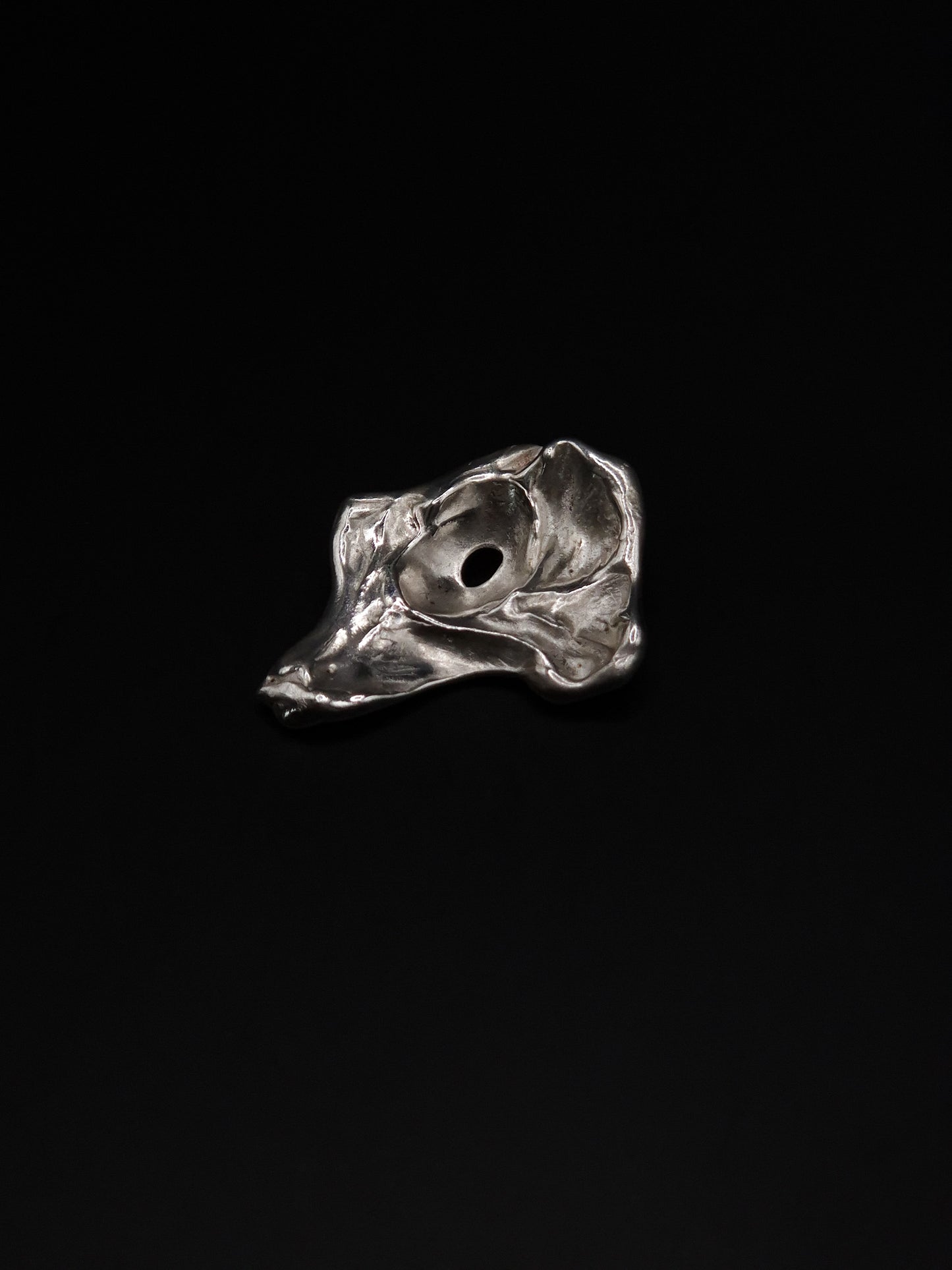 Pendentif source fossile