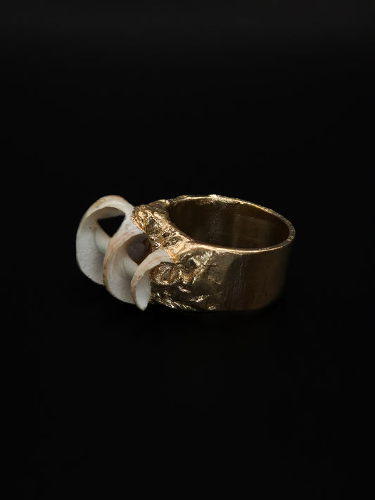 Bague corne d'écume