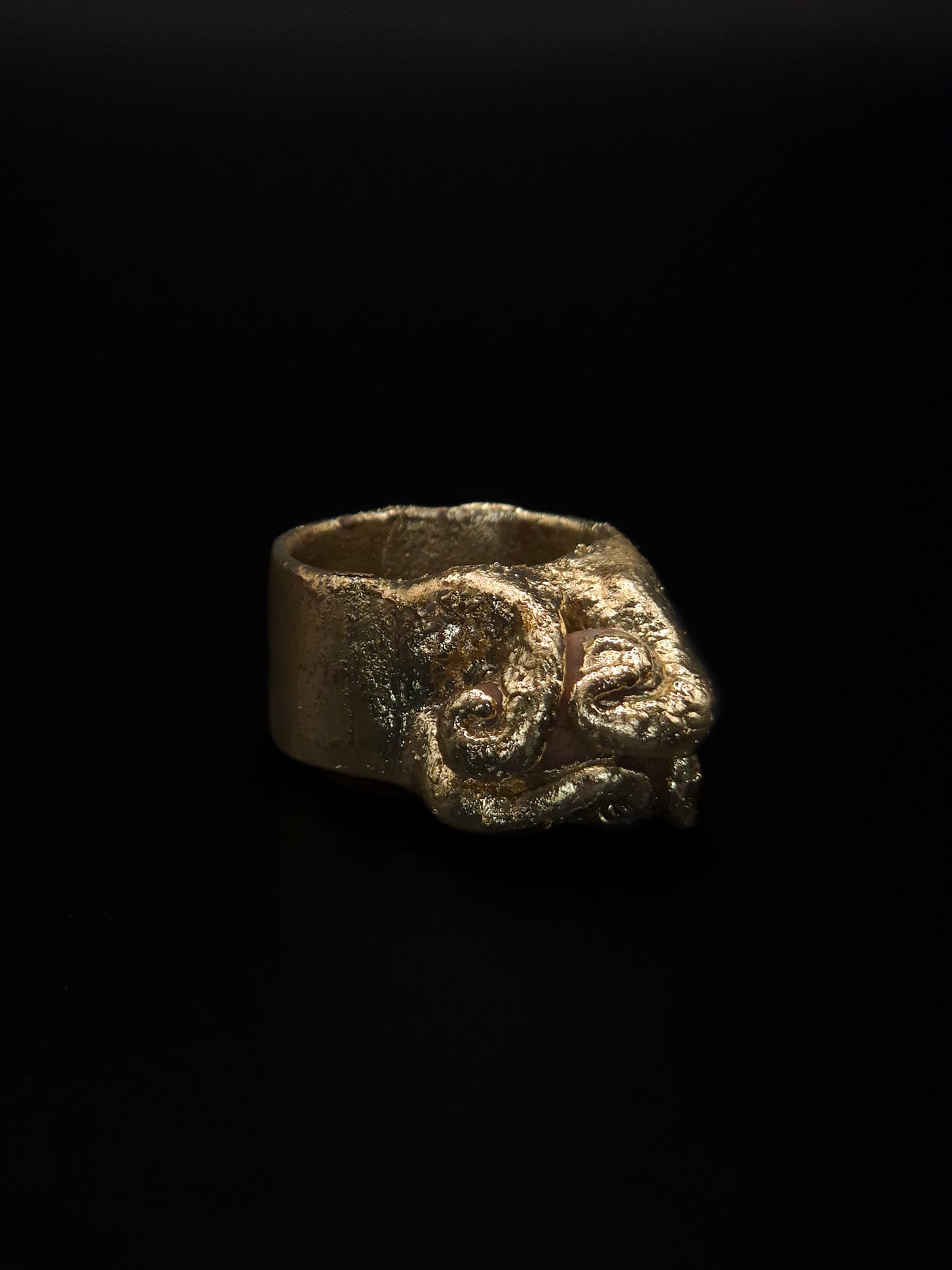 Bague orée sauvage
